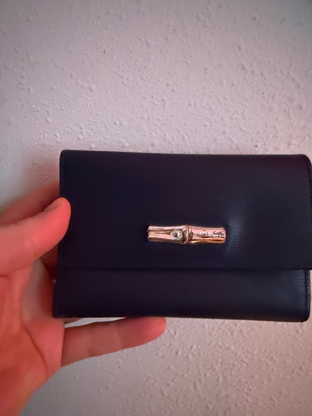 Longchamp baby Leather Wallet with silver-Tone Bamboo Accent